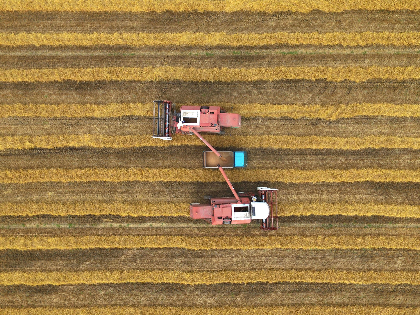 テスト ポスター販売