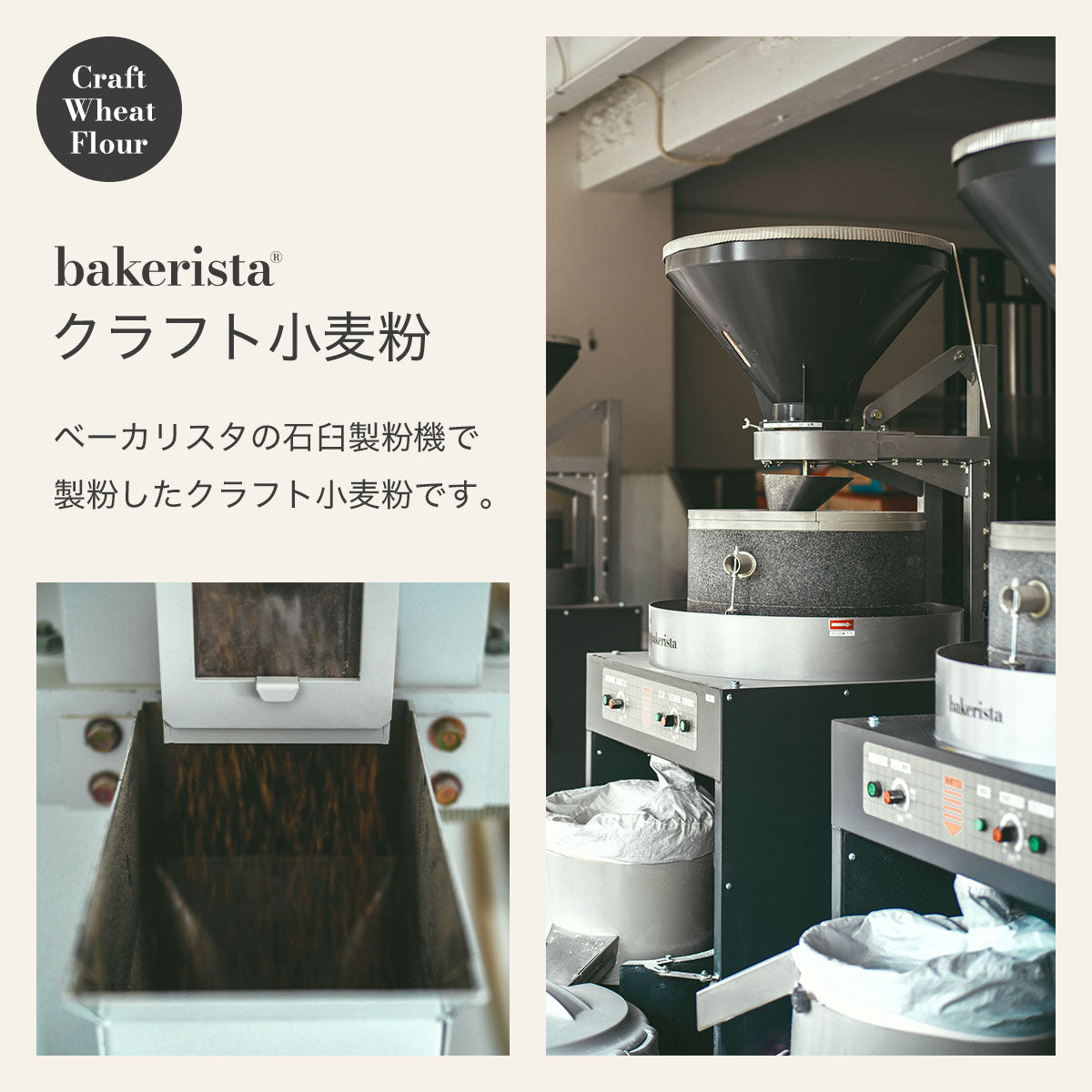 アンバープルーム【クラフト全粒粉 粗挽き】