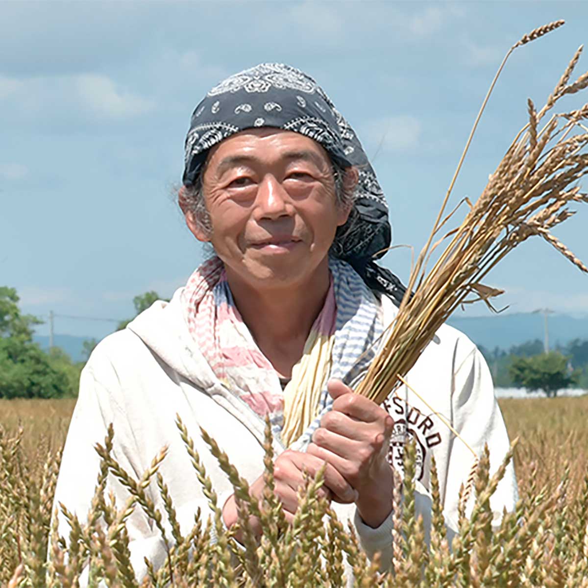 岩崎農園 つるきち夏穂