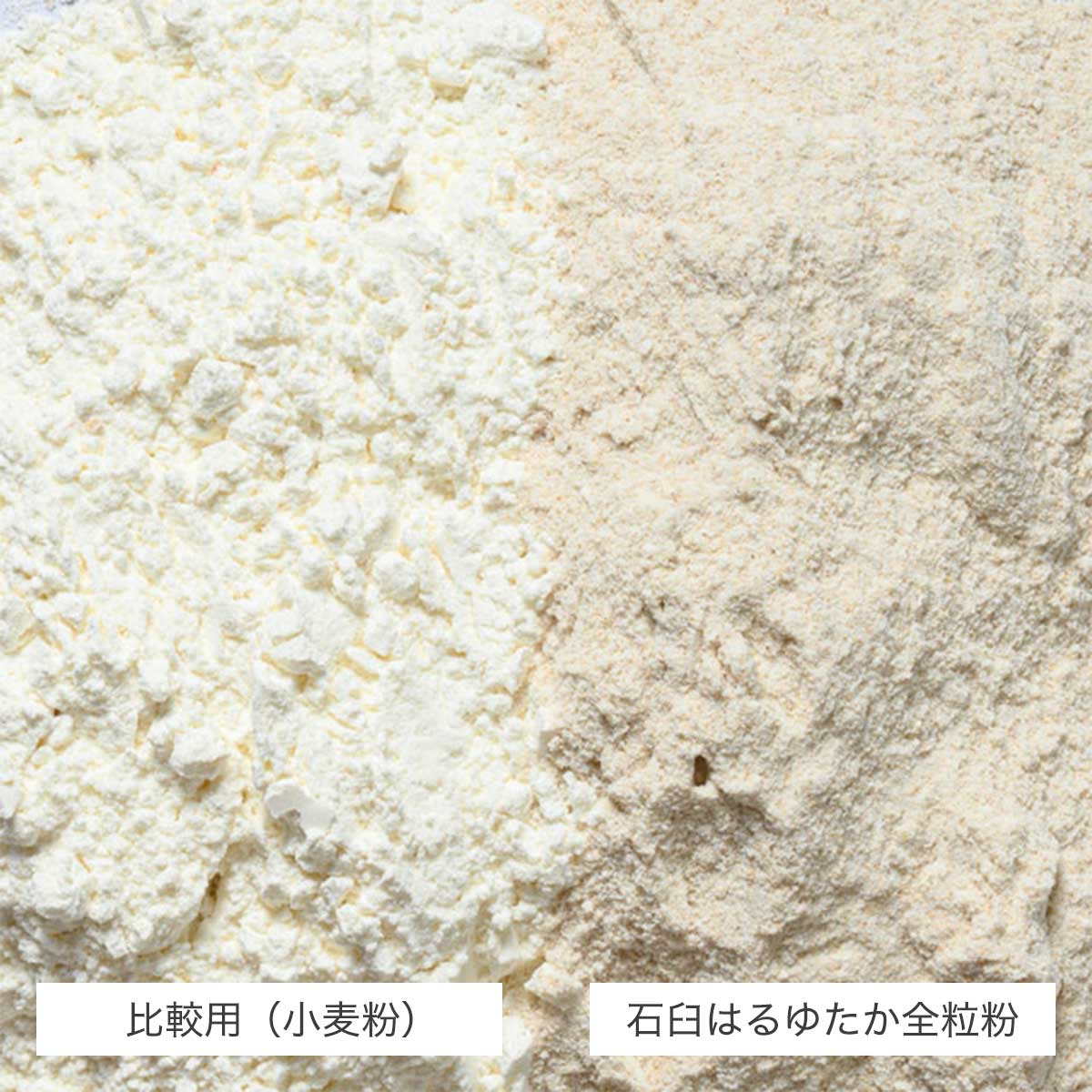 石臼はるゆたか全粒粉