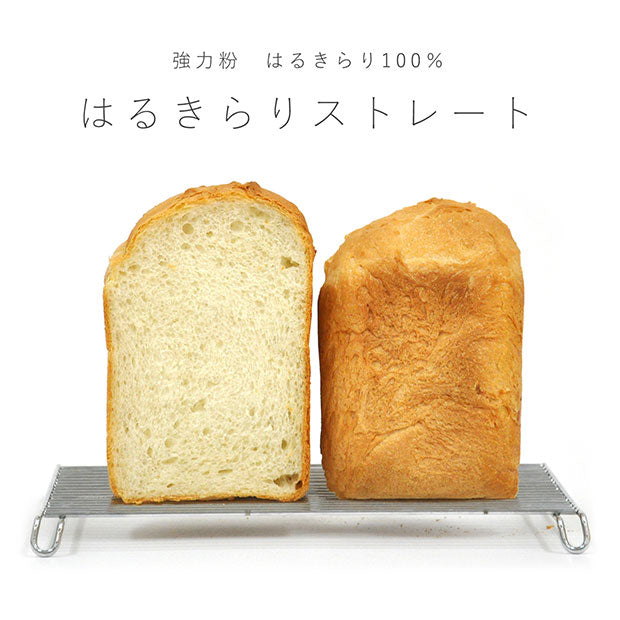 ハルキラリ100
