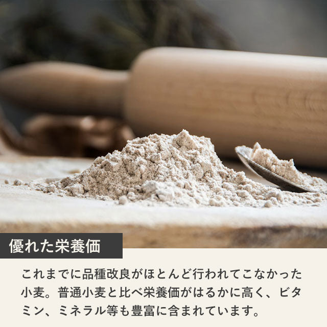 ディンケルスター【スペルト小麦 古代小麦】