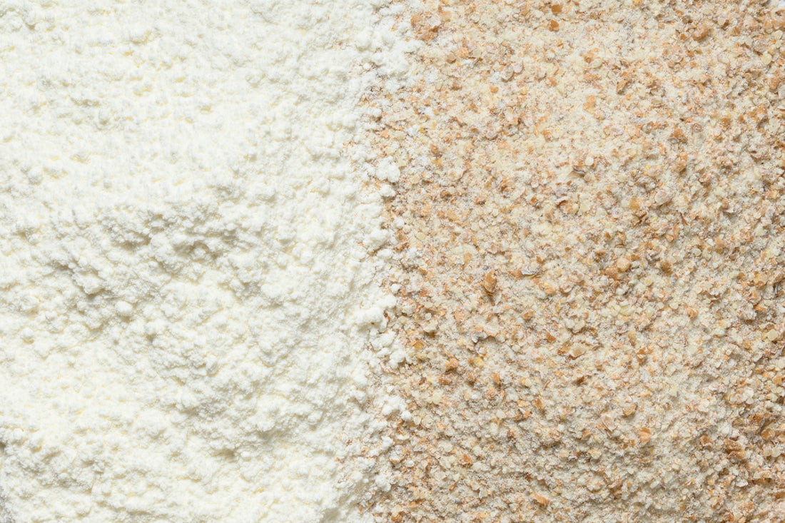 全粒粉と普通の小麦粉との違いは？