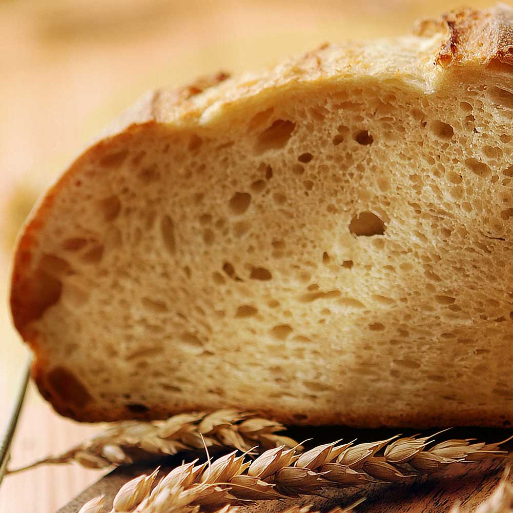 シングルオリジン 中川農場 ブレドゥポピュラシオン クラフト全粒粉