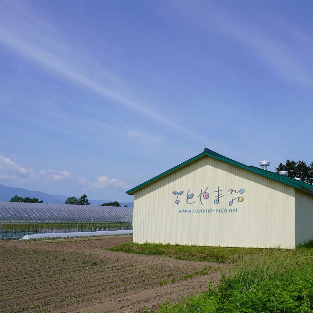 シングルオリジン とやま農場 きたほなみ クラフト小麦粉